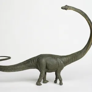 Barosaurus with long curved neck