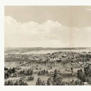 1859 Collection: January