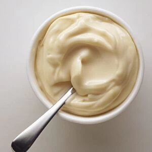 Bowl of mayonnaise with spoon embedded, view from above