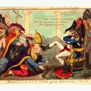 All Images Pillow Collection: 1797