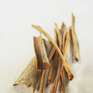 Cinnamomum cassia, whole dried Cassia bark and quills, close up