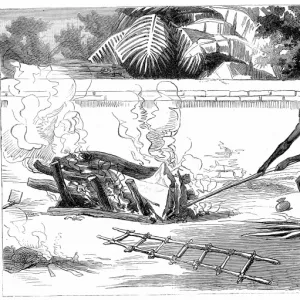 February Poster Print Collection: 1 Feb 1882