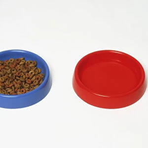 Two dog bowls, one empty and the other containing dry dog food