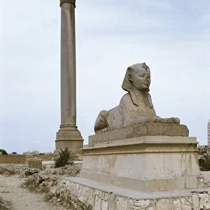 Egypt, Alexandria archaeological park, Pompeys Pillar, red Aswan granite column with Corinthian capital