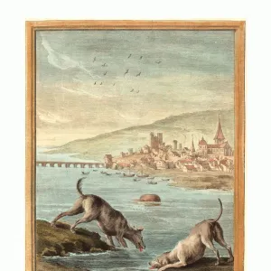 Images Dated Framed Print Collection: 1756