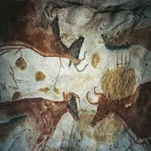 France, Aquitaine, Decorated Grottoes of Vezere Valley, Lascaux Grotto, upper Paleolithic cave painting