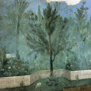 Fresco depicting garden with fruit trees and birds, detail of pine tree, from Rome, Triclinium of House of Livia