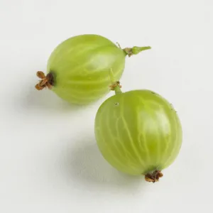 Two gooseberries on white background