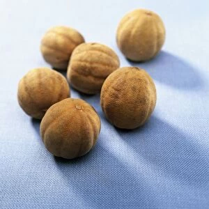 Group of dried limes, close-up