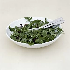 Herb leaf salad in salad bowl