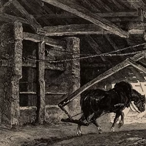 A horse-whim of horse-gin. Such a device was used to raise coal from the bottom of a mine