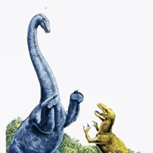 Illustration of Diplodocus fighting