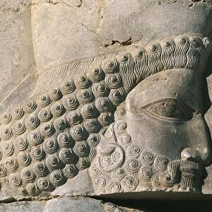 Iran, Persepolis, Council Hall, Bas-relief of stairway with guard, close-up