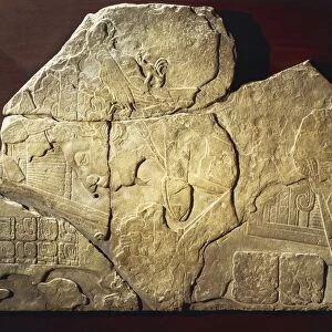 Jonuta Stone with relief depicting c offering birds with phallic symbol on his chest