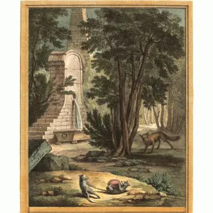 All Images Poster Print Collection: 1759