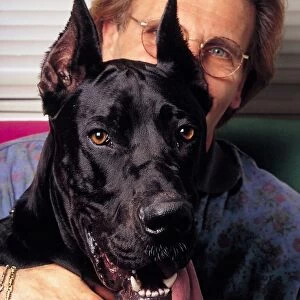 Man and Dog. Black Great Dane