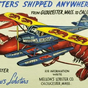 Mellows Lobsters Airplane. Ca. 1948, Lobsters Shipped Anywhere from Gloucester, Mass to California to Private Families and Exclusive Clubs. in and out of Gloucester Eat Mellows Lobsters. for Information Write Mellows Lobster Co. Gloucester, Mass