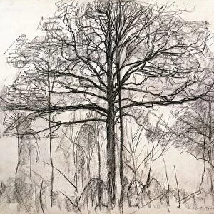 Netherlands, The Hague, Study for trees I