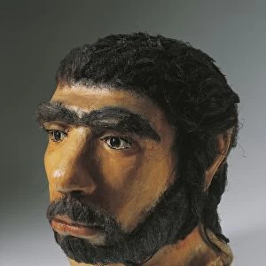 Reconstruction in wax of head of Neanderthal man (Homo Sapiens Neanderthalensis)