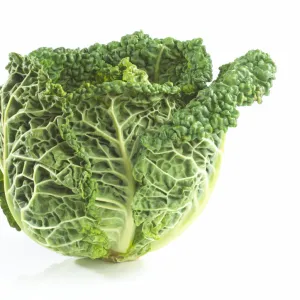 Savoy cabbage