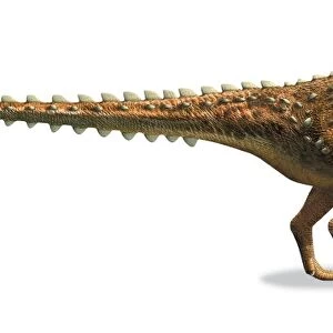Scelidosaurus, early Jurassic era