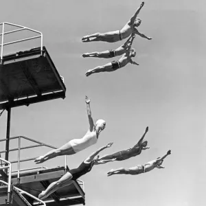 Seven Champion Diving In LA