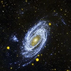 Spiral Galaxy M81 viewed from the Hubble Space Telescope. Credit NASA. Science Astronomy