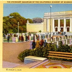 The Steinhart Aquarium of the California Academy of Sciences, Golden Gate Park, San Francisco, California