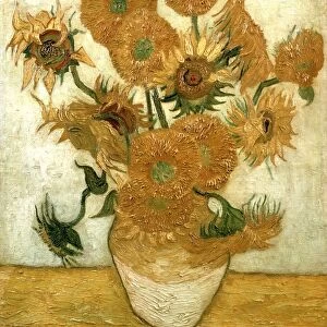 Sunflowers. Oil on canvas Vincent Van Gogh (1853-1890) Dutch Post-Impressionist artist