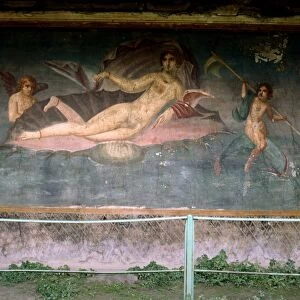 Venus resting in the shell. House of Venus, Pompei, Italy. Fresco