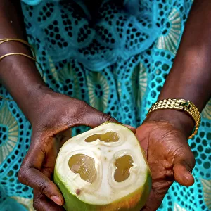 Woman holding palmyra palm tree fruit in Thiaoune, Senegal