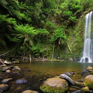 Beauchamp falls