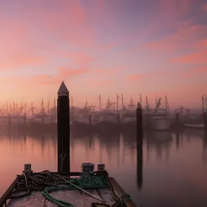 Fog at the commercial dock at sunrise