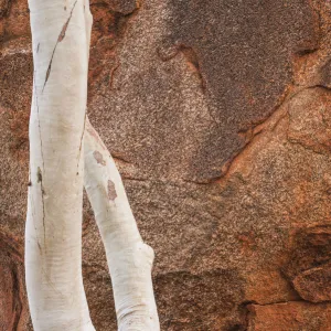 Karlu Karlu or Devils Marbles Conservation Reserve, Northern Territory, Australia