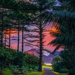 Late afternoon light, just near dusk, Lord Howe Island, New South Wales, Australia