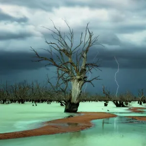 New South Wales (NSW) Poster Print Collection: Menindee Lakes