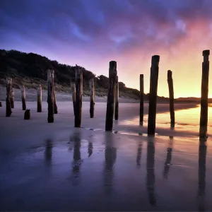 New Zealand Collection: Dunedin