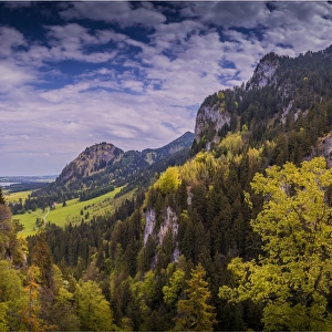 Scenic view, Neuschwantein, Bavaria, Germany