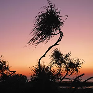 Sunset, East Point, Darwin, Northern Territory, Australia