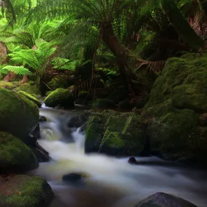 February Gallery: 9 Feb 2012