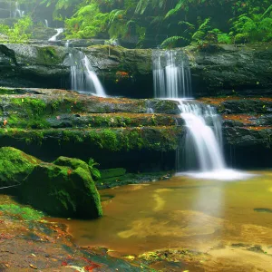 Terrace Falls, Blue mountains