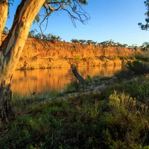 Waikerie. River Murray. South Australia