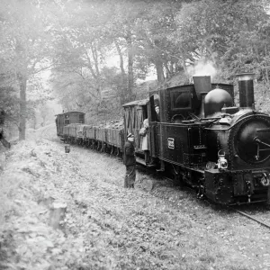 Powys Photographic Print Collection: Welshpool