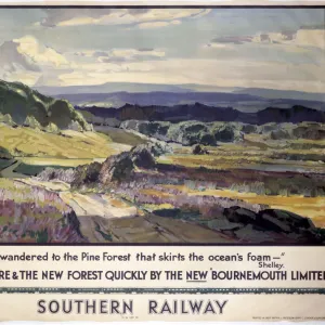 To Hampshire and the New Forest Quickly, SR poster, 1938