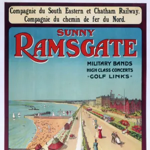 Rallidae Jigsaw Puzzle Collection: Chatham Rail