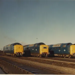 York Motive Power Depot. 5 November 1981