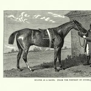 18th Century racehorse Eclipse