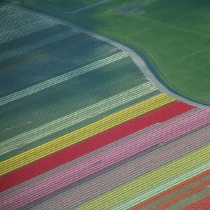 Netherlands Framed Print Collection: Aerial Views