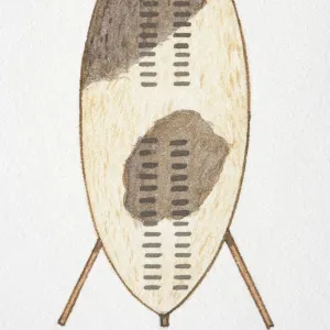 Africa, Zulu shield