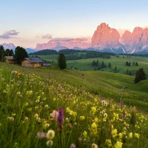 Alpe Di Siusi (Seiser Alm), Dolomites, Italy